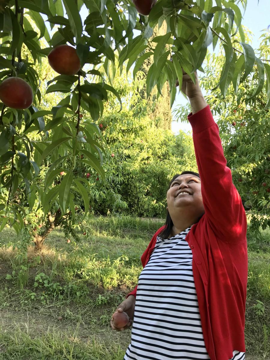 Isabel smiling and reaching up to a fruit tree in an orchard.