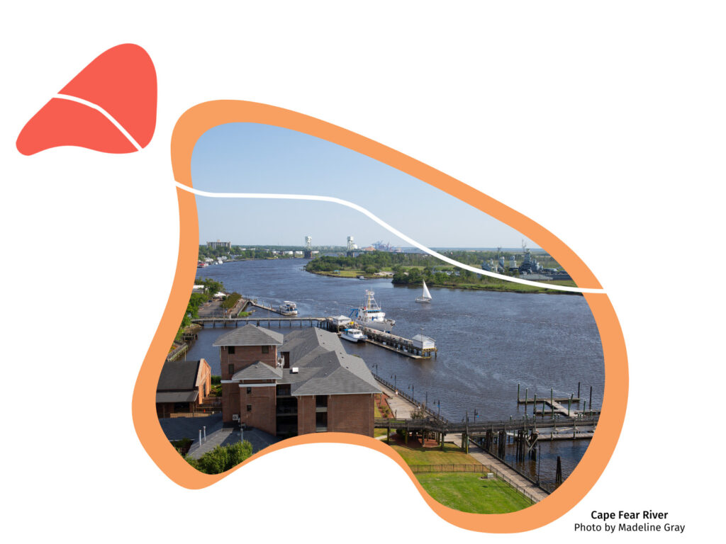 A photo of a river-way in Wilmington, NC inside an orange organic shape. A bright red shape hovers above.