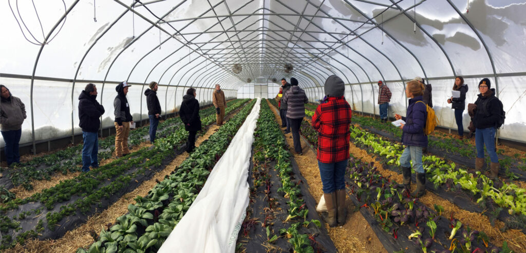 Folks stand in an enclosed greenhouse amongst rows of plants.