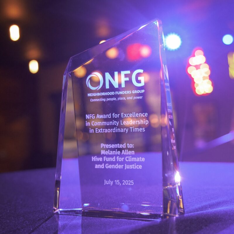 Photo of NFG's Award for Excellence resting on a table.